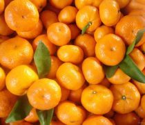 亞克力雙層貼片米奇無別針DIY手機殼材料 創意與實用并存的DIY時尚潮流