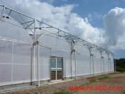 走進壽光富華連棟薄膜溫室 科技農業的綠色畫卷