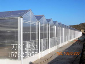 溫室大棚選購指南 薄膜、玻璃與生態玻璃溫室的對比與推薦